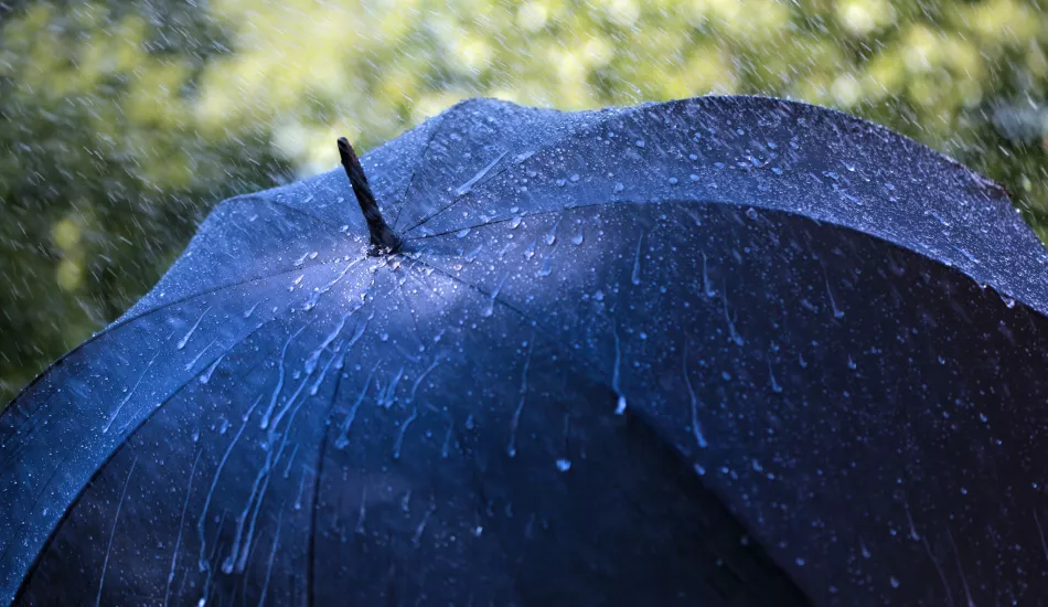 Umbrella