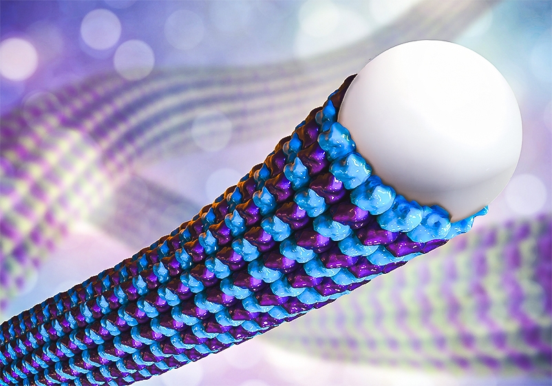 Pernetrine inherited in the fiber